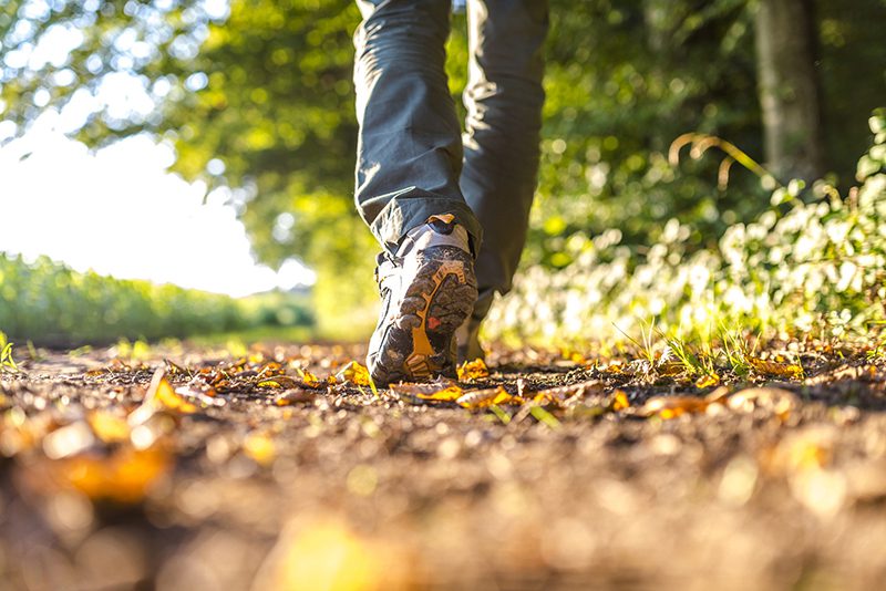 someone hiking in nature